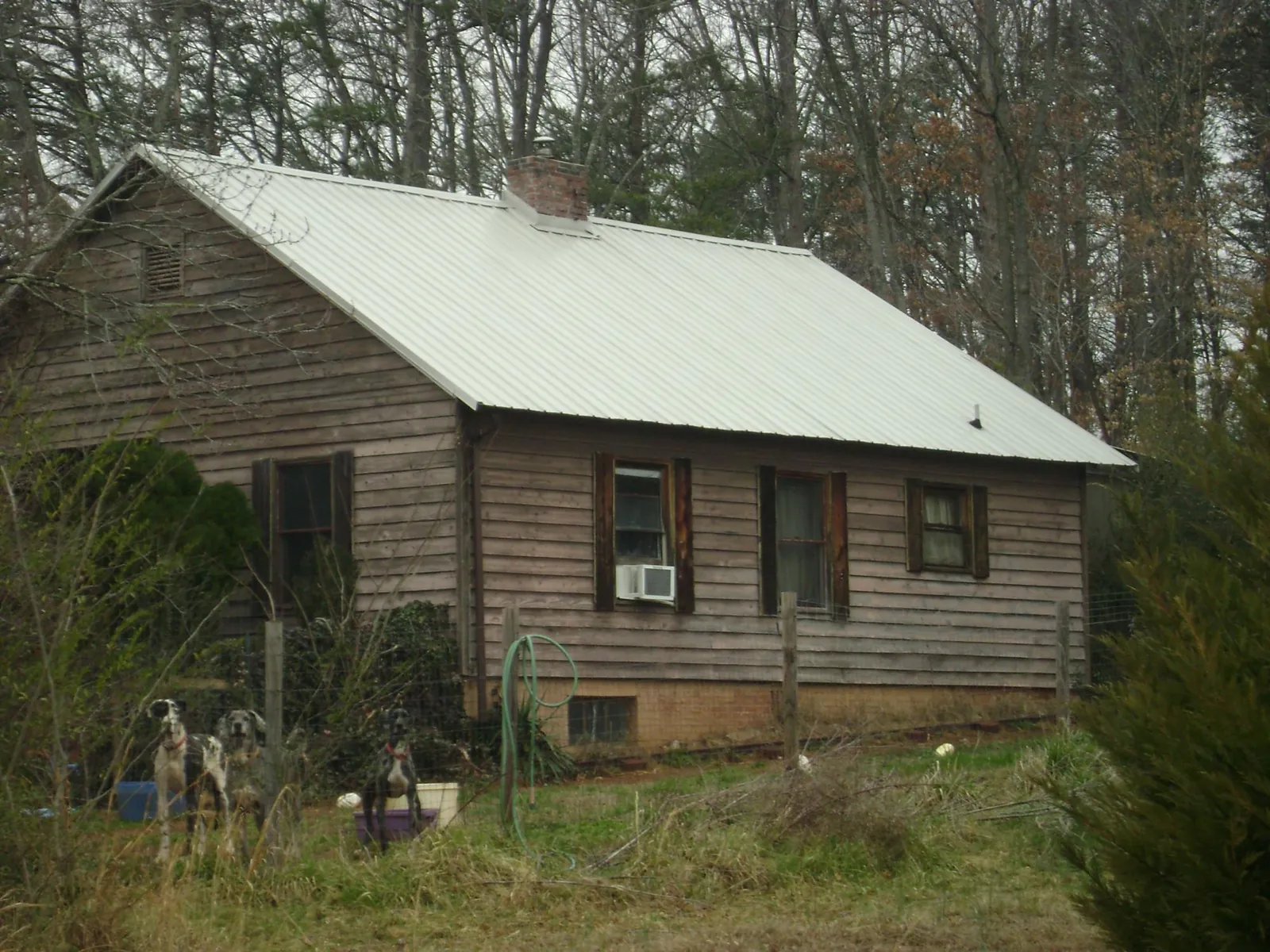 White metal roof on an old wood sided farmhouse, from a Asphalt Shingle Roof Repair job in Greenvale